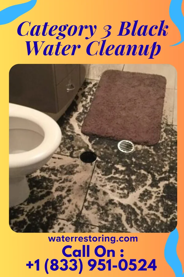 Category 3 Black Water Cleanup in Stoneville, NC