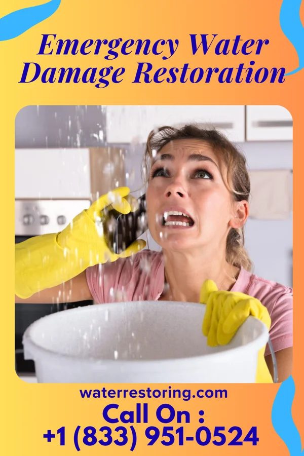 Emergency Water Damage Restoration in Stoneville, NC