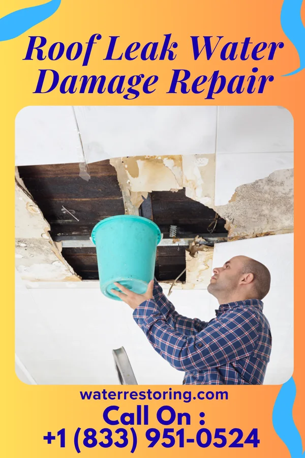 Roof Leak Water Damage Repair in Stoneville, NC